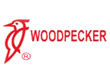 woodpecker